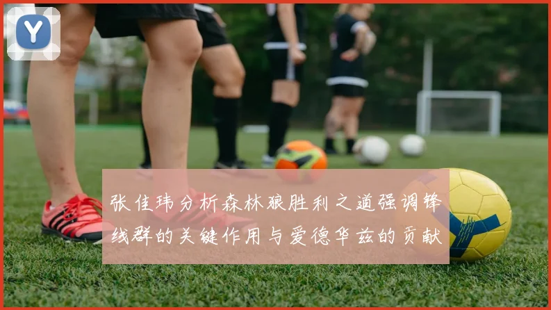 张佳玮分析森林狼胜利之道强调锋线群的关键作用与爱德华兹的贡献