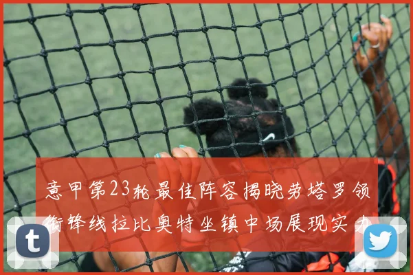 意甲第23轮最佳阵容揭晓劳塔罗领衔锋线拉比奥特坐镇中场展现实力