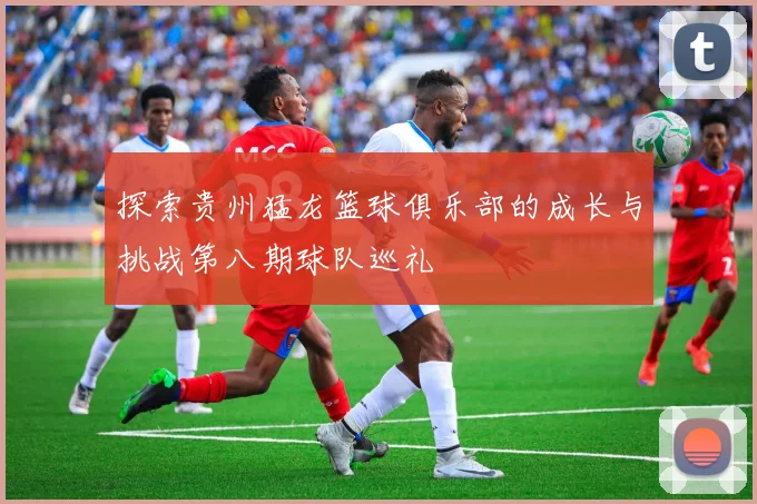探索贵州猛龙篮球俱乐部的成长与挑战第八期球队巡礼