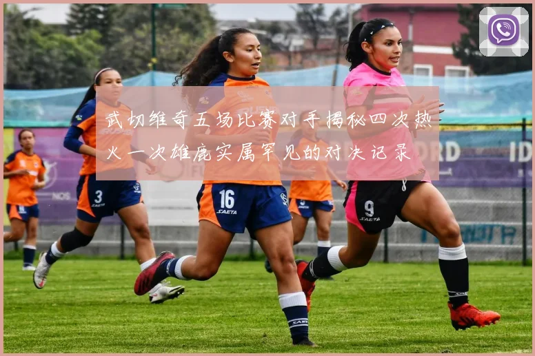 武切维奇五场比赛对手揭秘四次热火一次雄鹿实属罕见的对决记录